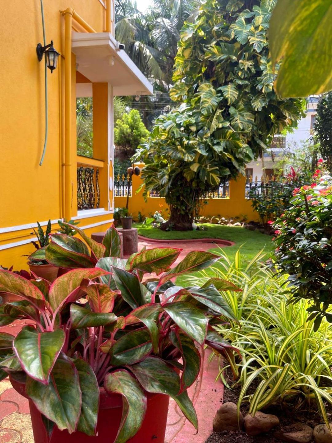Minria Guest House Бенаулим Экстерьер фото